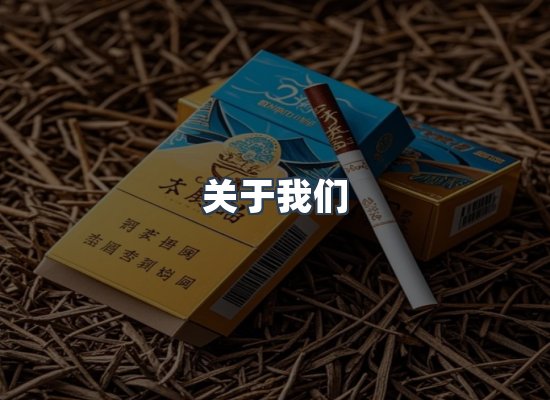 关于我们